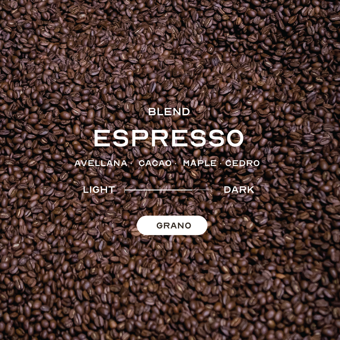 Espresso Blend 10kg